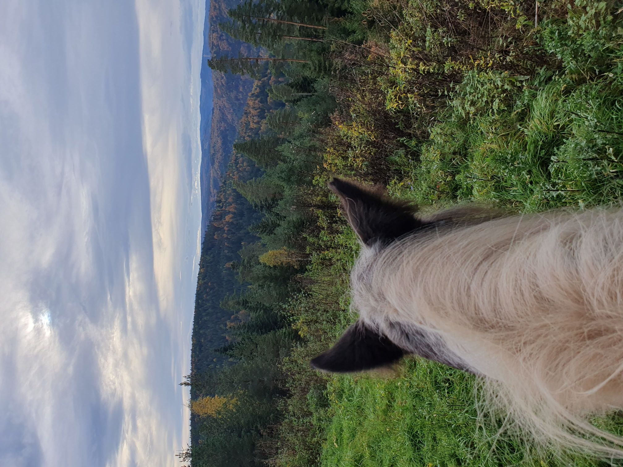 2023 11 November 565